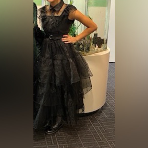 Wednesday Adams dress/ Costume-Size S - Picture 7 of 7